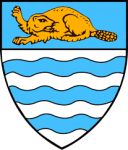 Birtley Town