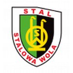 Radomiak Radom