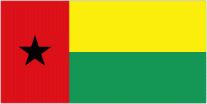 Thông tin đội